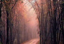 成都vs亚泰首发阵容：5外援PK 4外援谭龙vs费利佩