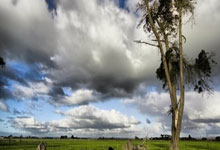 山东泰山第一惨案是如何发生的？道歉能解决问题吗？