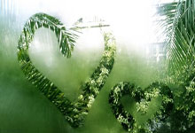 成都vs亚泰首发阵容：5外援PK 4外援谭龙vs费利佩