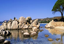 广厦正式宣布签下上赛季季后赛场均27分的巴里·布朗